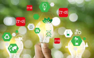 Understanding EU Packaging Regulations and Compliance