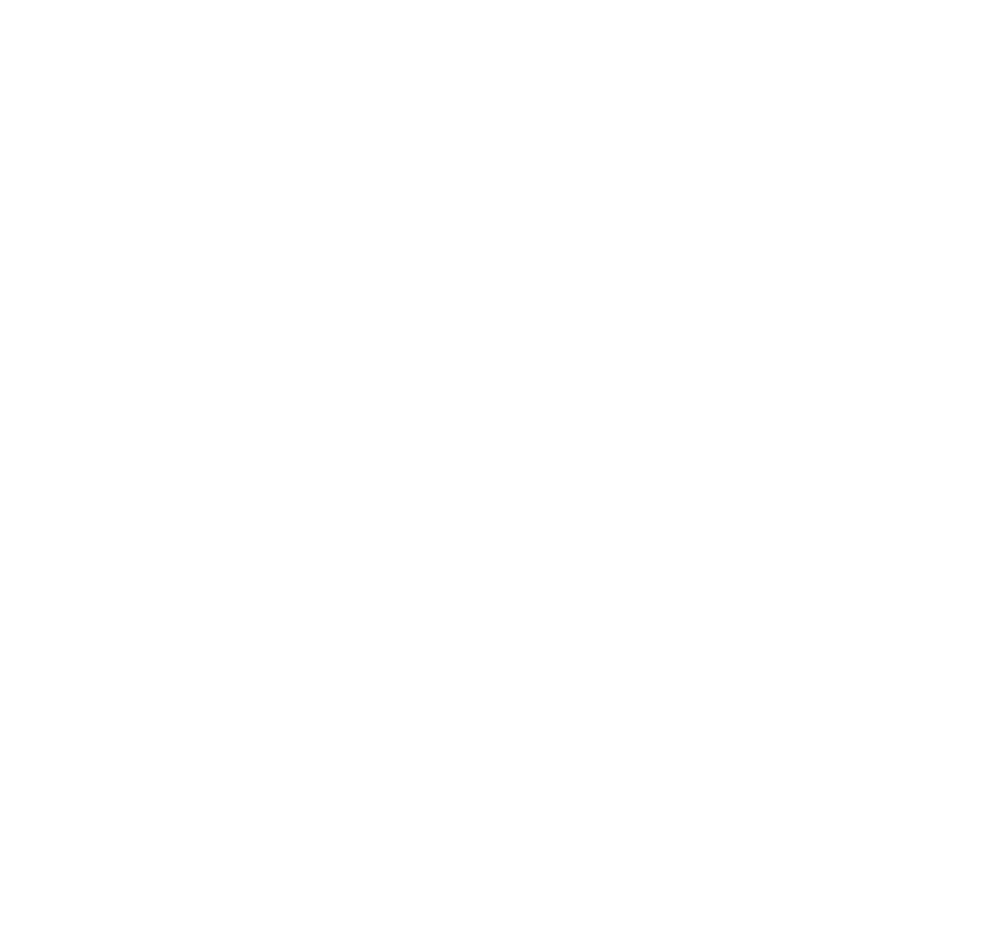 regulatory icon