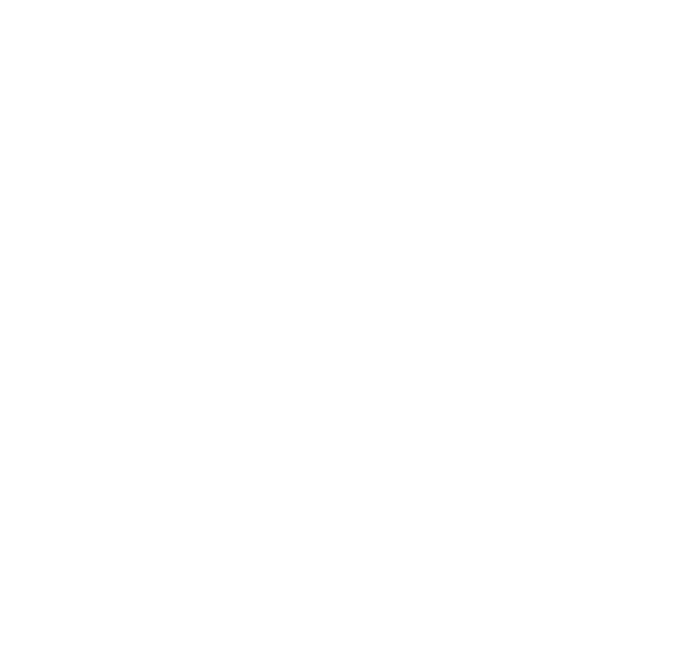 voice icon
